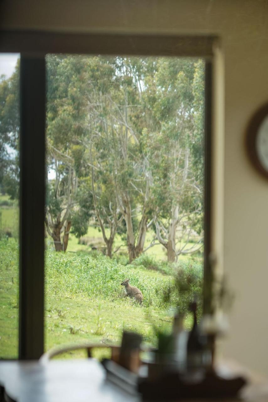 Adventure Bay Retreat Bruny Island Villa Exterior photo